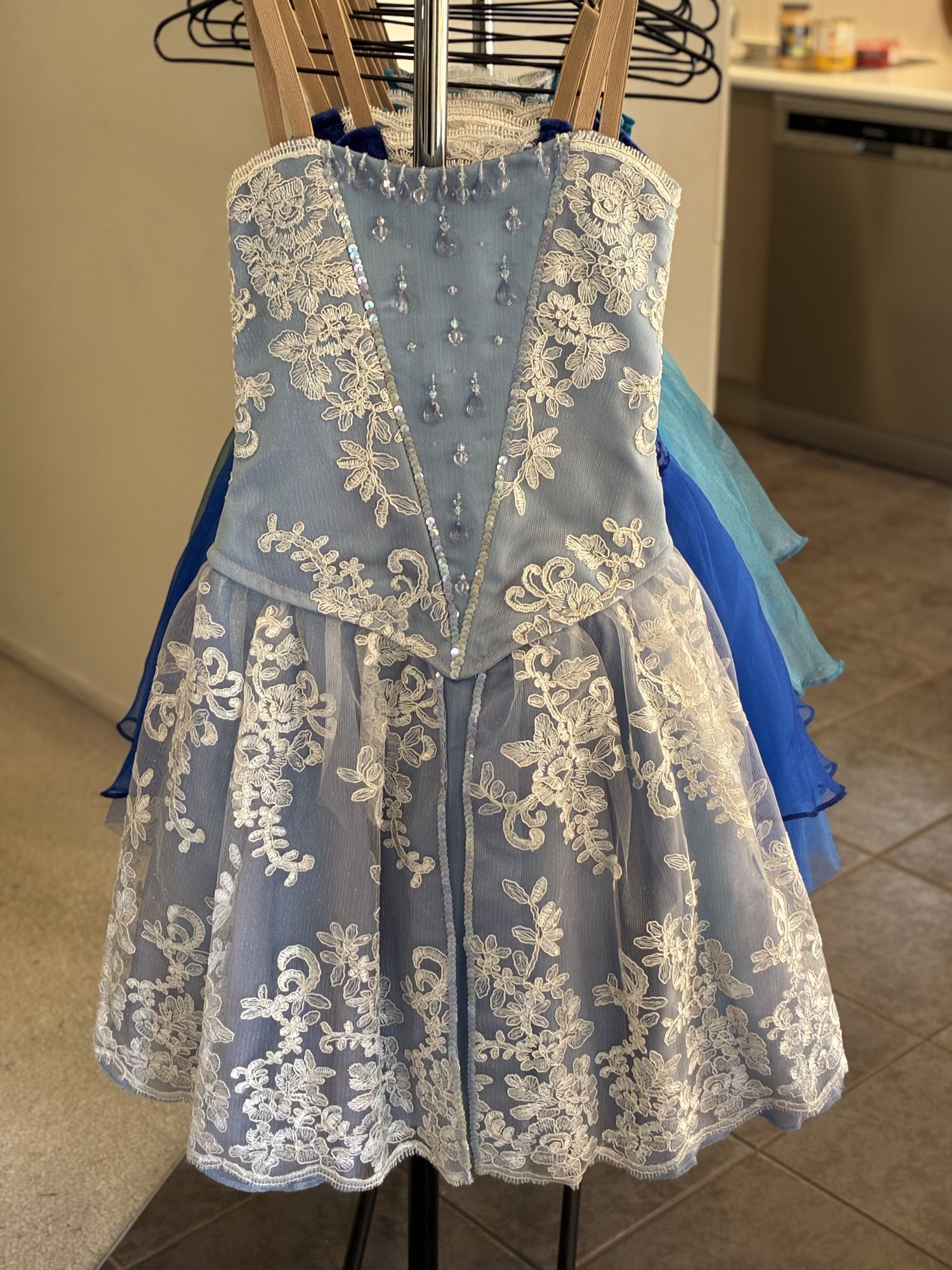 Cinderella Lead Costume Set